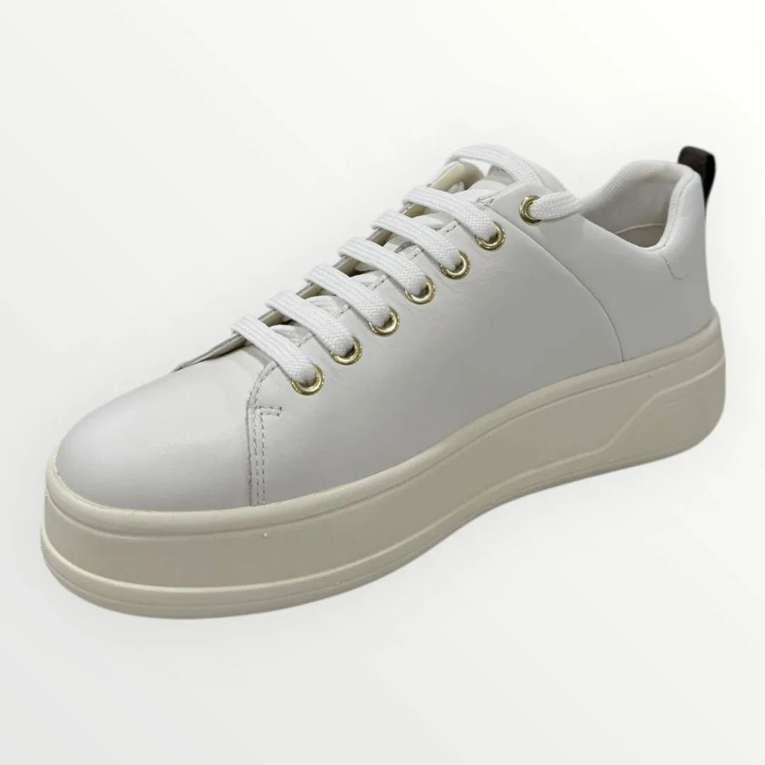 GEOX - SNEAKER SPHERICA ECUB